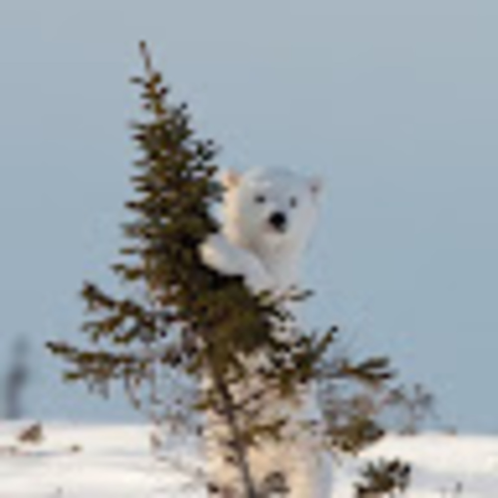 Meet your Posher, Leah